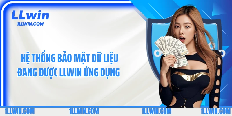 Hệ thống bảo mật dữ liệu đang được LLWIN ứng dụng